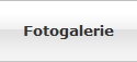 Fotogalerie