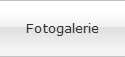 Fotogalerie